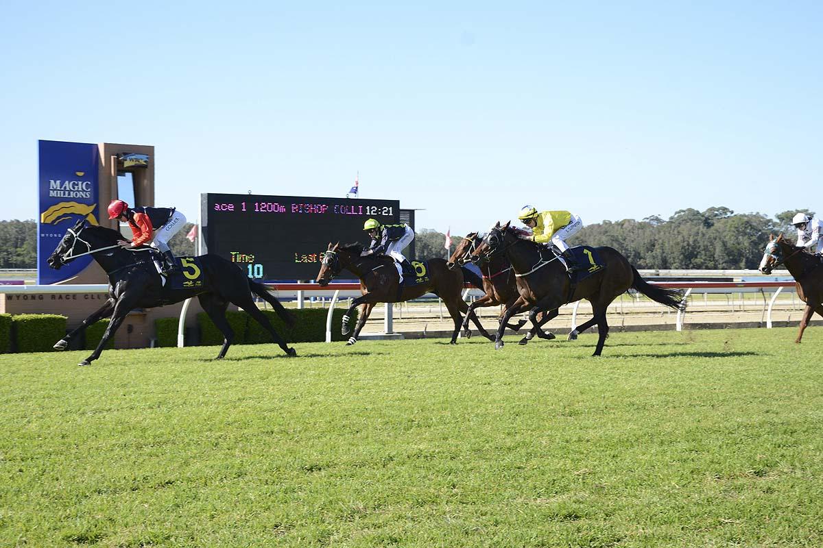 Supreme Joy surging clear to win by one-and-a-half lengths.