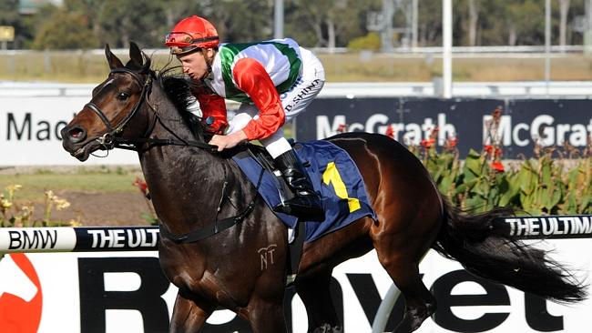 Trainer Gary Portelli says a small field in the Moir Stakes will hamper Rebel Dane’s powerful closing sprint. 