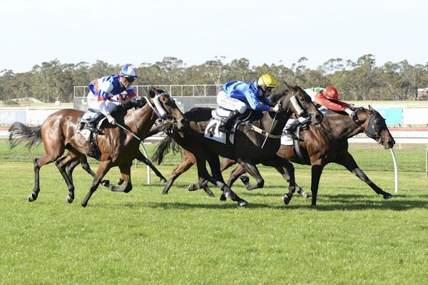 Swiftly Red Bendigo