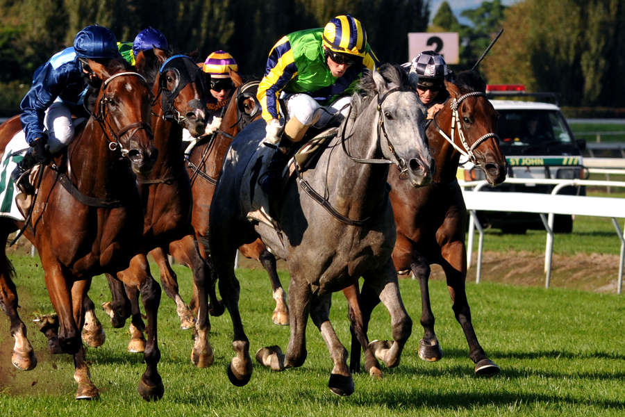 Maygrovemanawatu2-4-2016Raceimagespnnztm-L